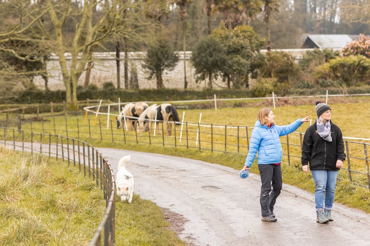 Visitors enjoying a winter walk at Penrose, Cornwall