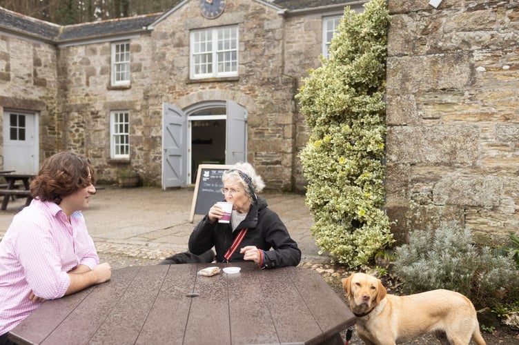 Visitors enjoying a coffee at a picnic bench in the courtyard of The Stables at Penrose, Cornwall