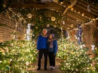 A Cornish Christmas arrives at Trelissick 