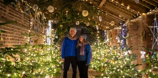 A Cornish Christmas arrives at Trelissick 