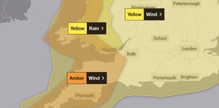 RSPCA issues advice as Storm Darragh moves in across the UK tonight