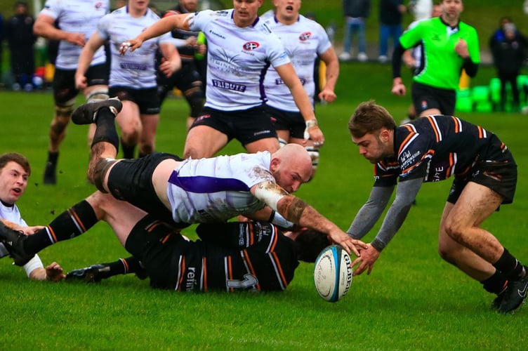 Josh King Cornish Pirates
