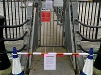Counting the cost of Storm Darragh in Saltash and surrounding parishes