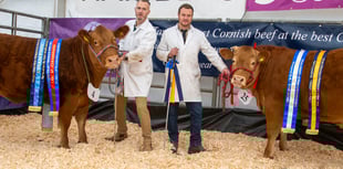 Truro Primestock Show 2025: A festive tradition