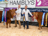 Truro Primestock Show 2025: A festive tradition