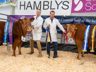 Truro Primestock Show 2025: A festive tradition
