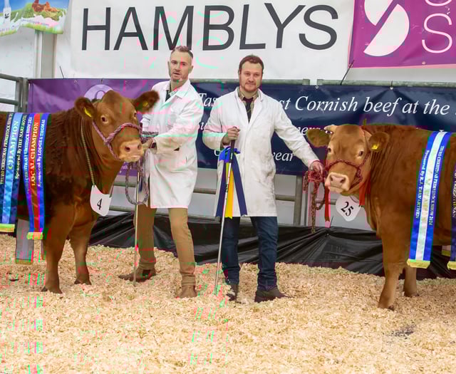 Truro Primestock Show 2025: A festive tradition