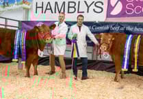 Join the 2025 Truro Christmas Primestock Show