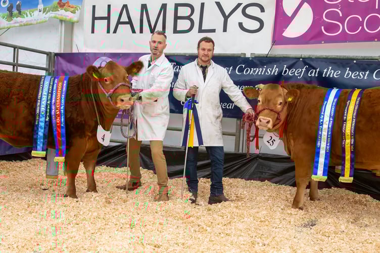 The Penellum brothers with supreme and reserve champions at Truro Primestock Show