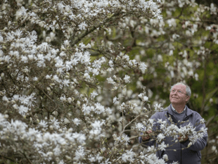‘Exceptional’ head gardener hangs up his trowel after 27 years
