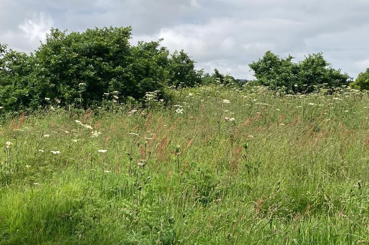 A field at Dudman Farm