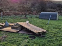 Alpaca farm owners' appeal after devastating storm damage