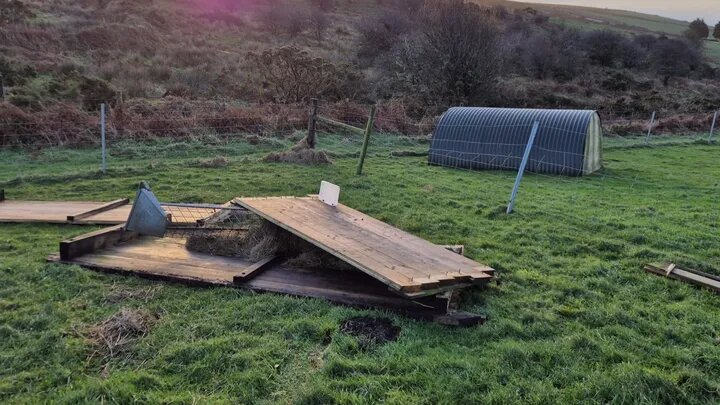 One of the damaged alpaca shelters at Alpaca Trekking, near Liskeard