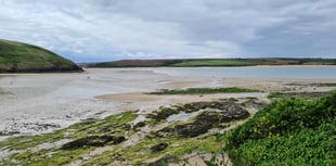 Camel Estuary to become focus of community art commissions 