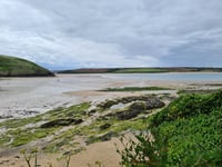 Camel Estuary to become focus of community art commissions 