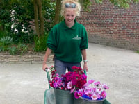 Trewithen’s garden apprentice to deliver society's January lectures