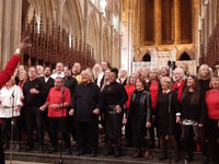 Truro Big Sing raises cathedral roof 