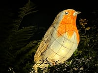 Visitors have the chance to illuminate their winter at night garden