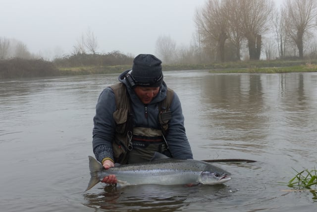 New rules in place to protect salmon