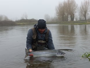 New rules in place to protect salmon