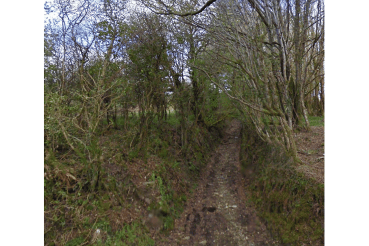 Claimed bridleway at Altarnun, Cornwall, which has not yet been added to the definitive map.