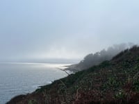 Kirstie Newton: Reflections and resolutions