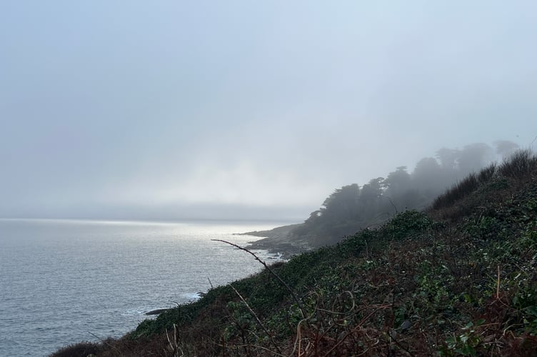The South West Coast Path between Mousehole and Lamorna 