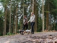 Cardinham Woods ready to welcome visitors for Walk Your Dog Month
