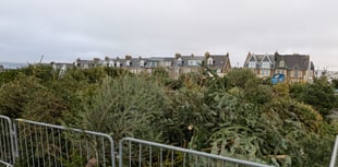 Residents invited to chip in to help flowerbeds thrive