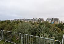 Residents invited to chip in to help flowerbeds thrive