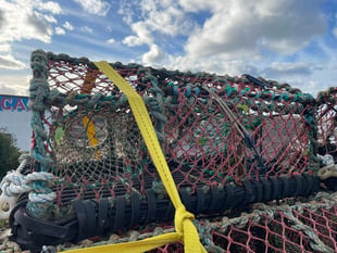 Fisherman's stolen lobster pots have been recovered
