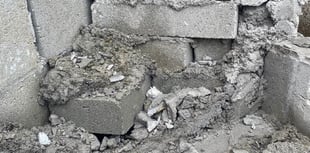 Cowboy builder sentenced to two-and-a-half years in prison