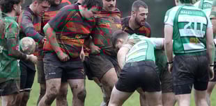 Lions enjoy friendly at Lankelly-Fowey before Brewer injury