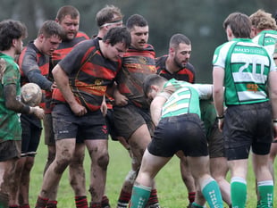 Lions enjoy friendly at Lankelly-Fowey before Brewer injury