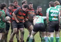 Lions enjoy friendly at Lankelly-Fowey before Brewer injury