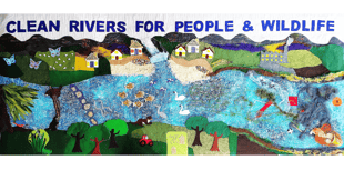 Film screening to lift lid on the state of local rivers and seas