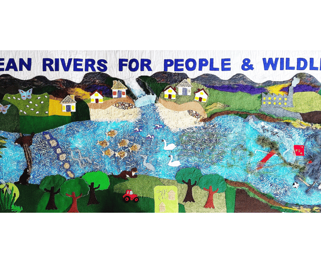 Film screening to lift lid on the state of local rivers and seas