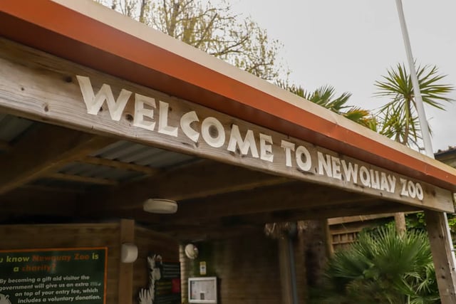 Newquay Zoo's long-term future secured after being sold