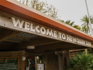 Newquay Zoo's long-term future secured after being sold