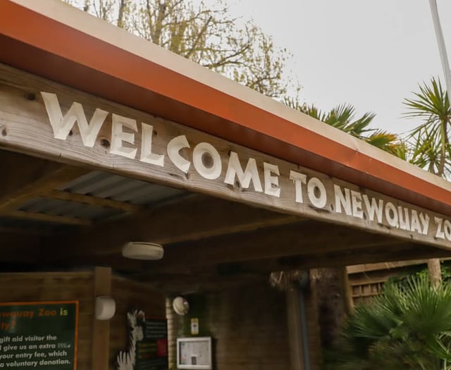 Newquay Zoo's long-term future secured after being sold