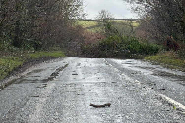 A fallen tree blocked the road between Bodmin and Lanivet