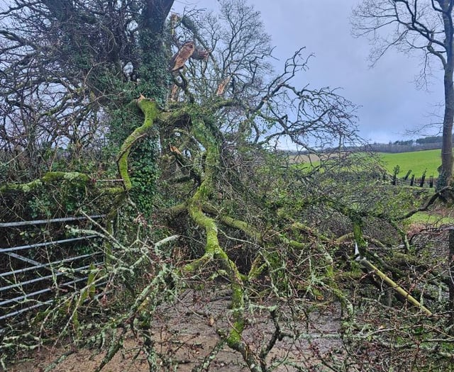 Storm Eowyn: All the weather warnings in place for Cornwall
