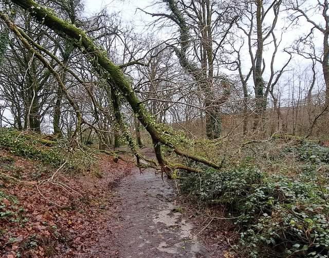 Walkers advised to stay away from Golitha Falls during current storm