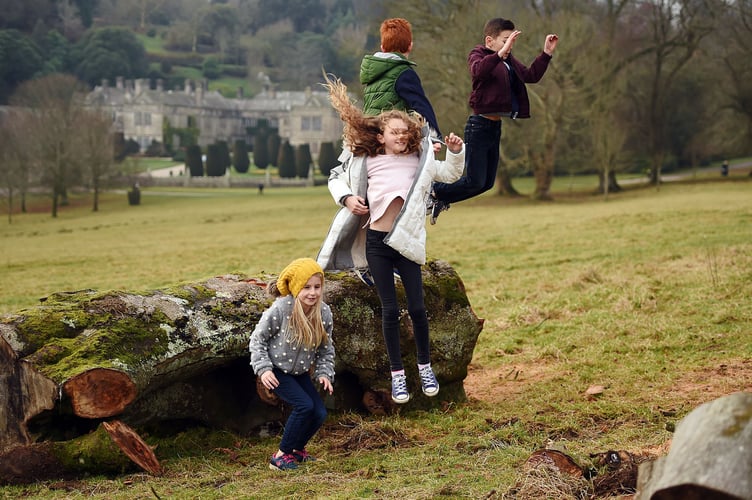 Children playing on a fallen tree in the parkland at Christmas at Lanhydrock, Cornwall.