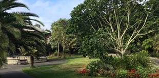 Garden project in Penzance receives funding from Historic England