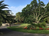 Garden project in Penzance receives funding from Historic England