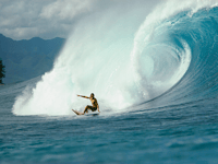 Former world champion to attend celebration of surf and skate culture 