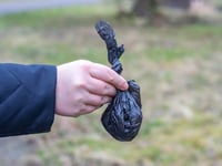 Campaign launched to target dog owners who fail to scoop the poop