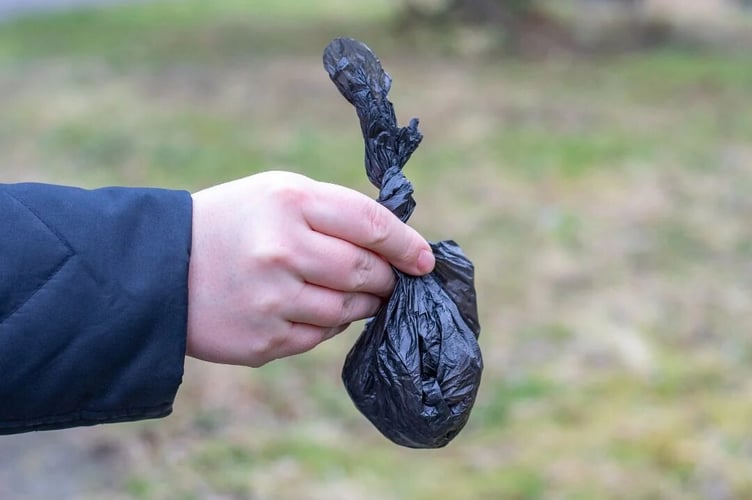 Saltash RFC are asking dog owners to pick up after their pets