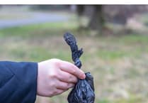 Campaign launched to target dog owners who fail to scoop the poop